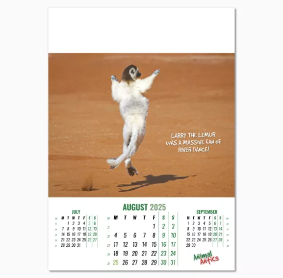 100215-animal-antics-wall-calendar-august.png