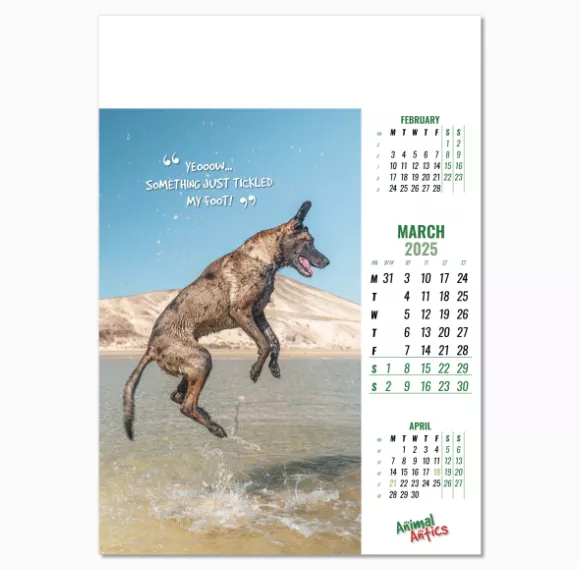 100215-animal-antics-wall-calendar-march.png