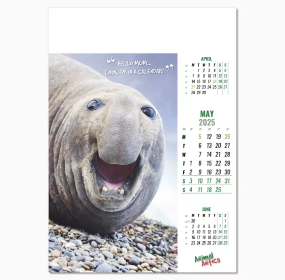 100215-animal-antics-wall-calendar-may.png