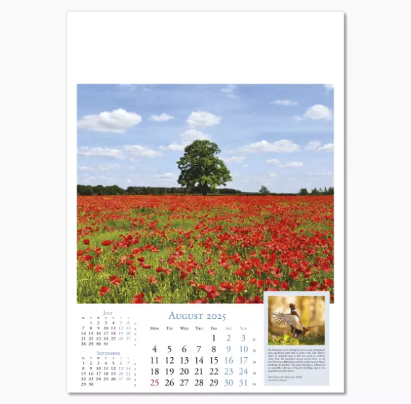 100615-beauty-of-britain-wall-calendar-august.png