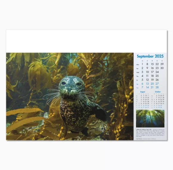 100815-blue-planet-wall-calendar-september.png