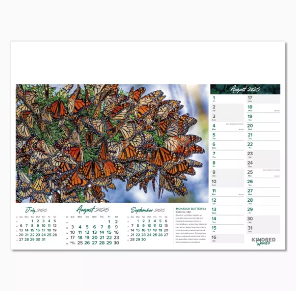 101015-kindred-spirits-wall-calendar-august.png