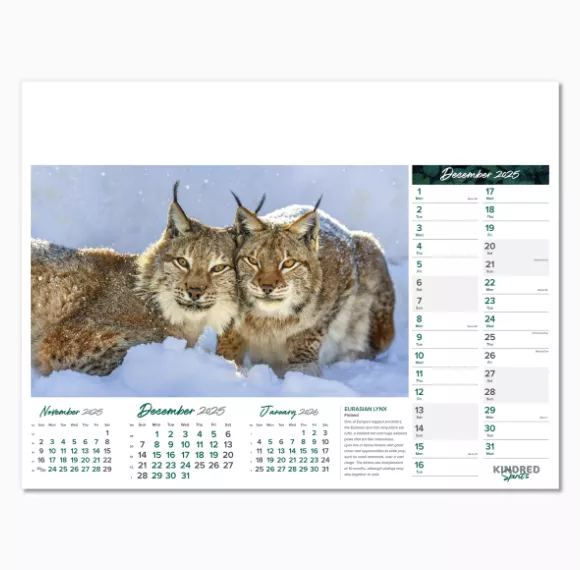 101015-kindred-spirits-wall-calendar-december.png