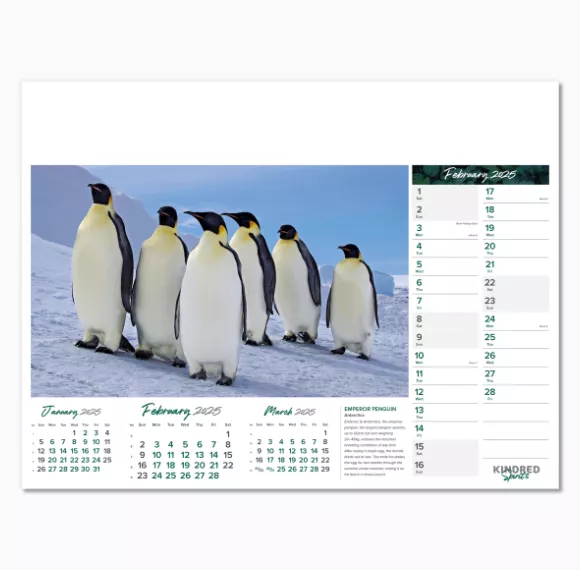 101015-kindred-spirits-wall-calendar-february.png