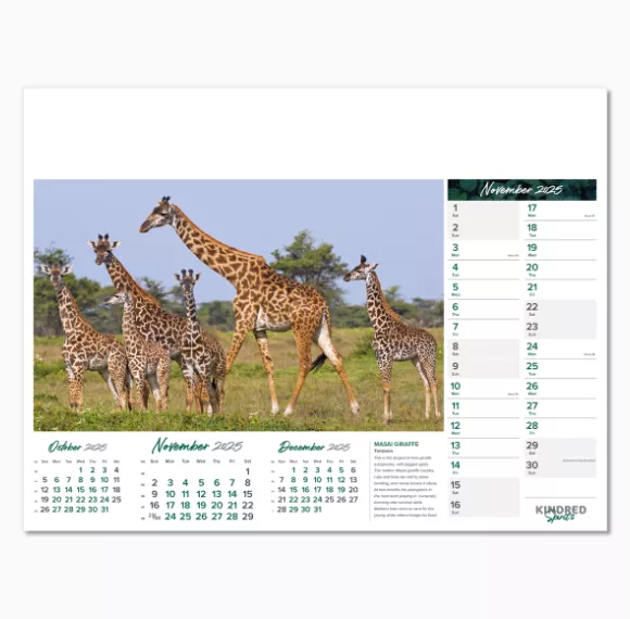 101015-kindred-spirits-wall-calendar-november.png