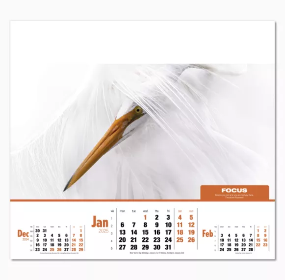 105115-inspirations-wall-calendar-january.png