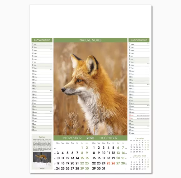 106915-nature-notes-wall-calendar-nov-dec.png