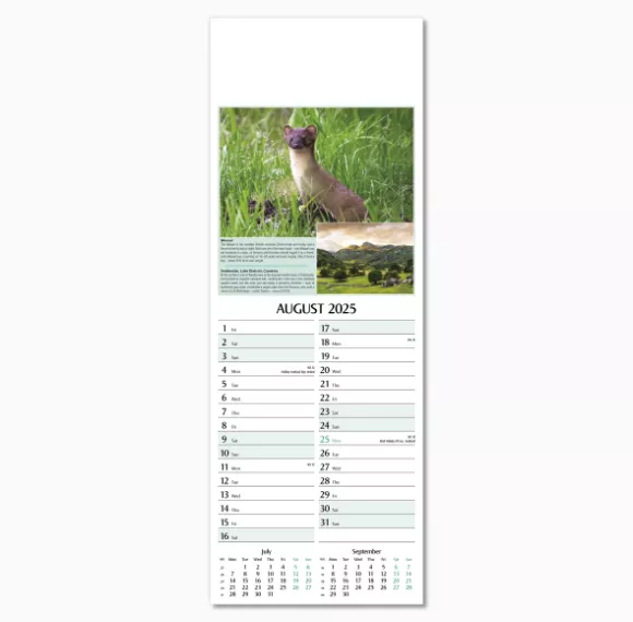 107215-natures-glory-wall-calendar-august.png