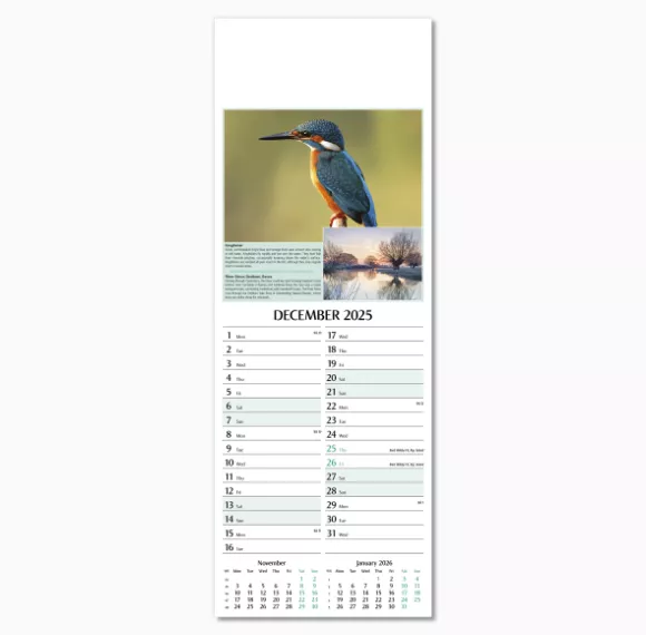 107215-natures-glory-wall-calendar-december.png