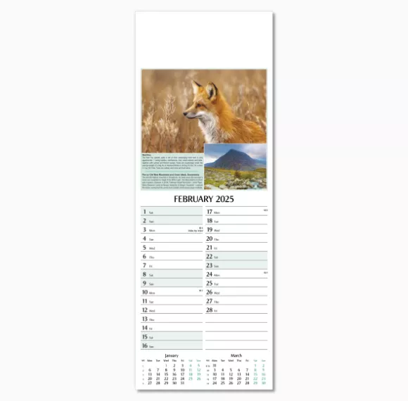 107215-natures-glory-wall-calendar-february.png