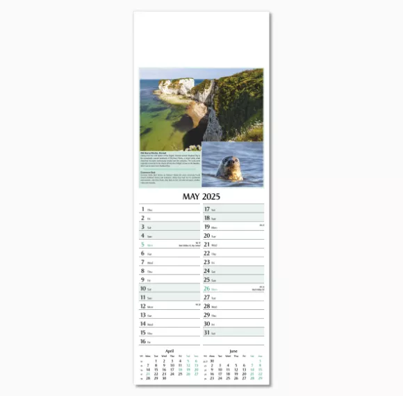 107215-natures-glory-wall-calendar-may.png