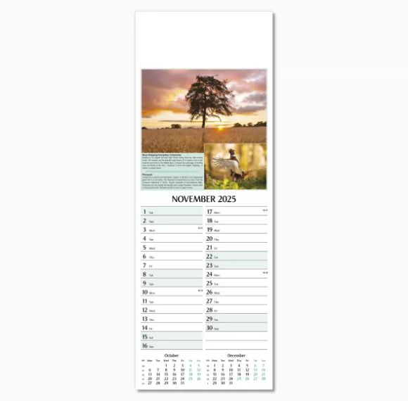 107215-natures-glory-wall-calendar-november.png