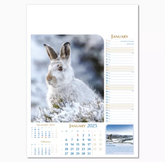 107715-notable-wildlife-wall-calendar-january.png