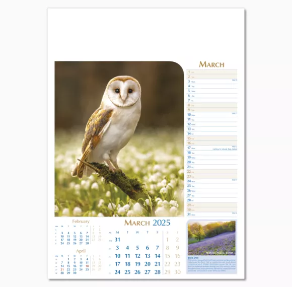 107715-notable-wildlife-wall-calendar-march.png