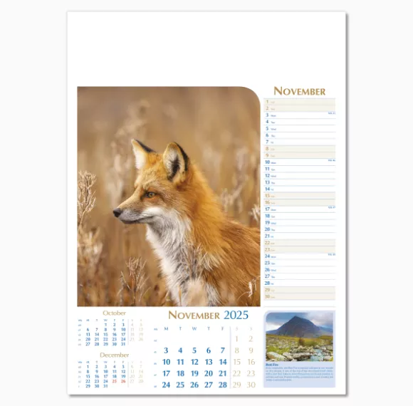 107715-notable-wildlife-wall-calendar-november.png