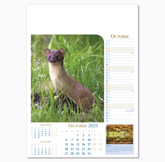 107715-notable-wildlife-wall-calendar-october.png