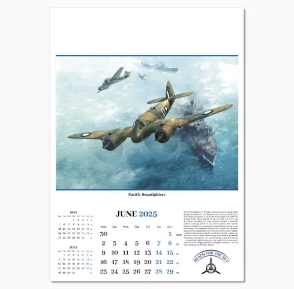 108515-reach-for-the-sky-wall-calendar-june.png