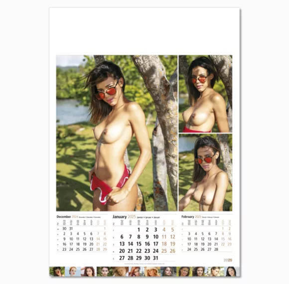 109415-supergirls-wall-calendar-january.png