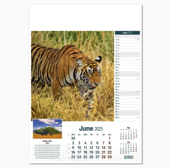 110315-endangered-species-wall-calendar-june.png