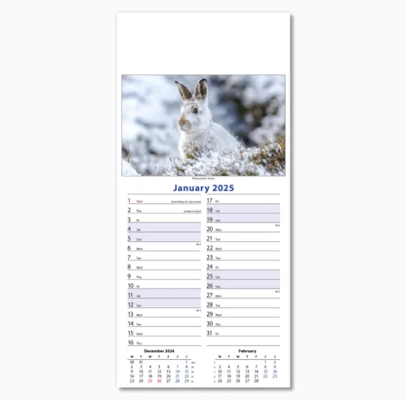 110415-wildlife-wall-calendar-january.png