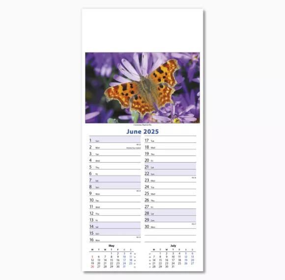 110415-wildlife-wall-calendar-june.png