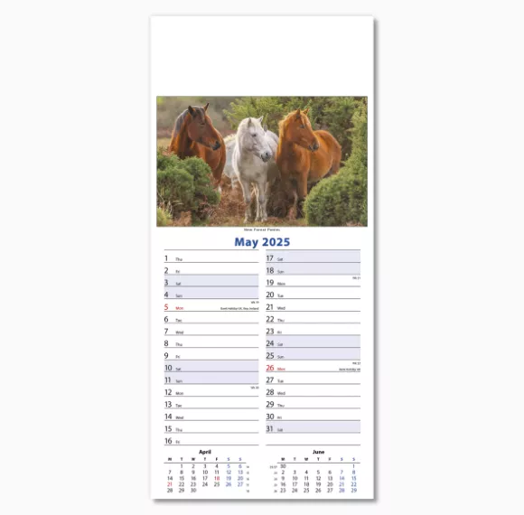 110415-wildlife-wall-calendar-may.png