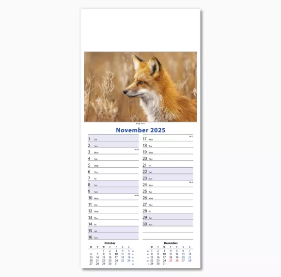 110415-wildlife-wall-calendar-november.png