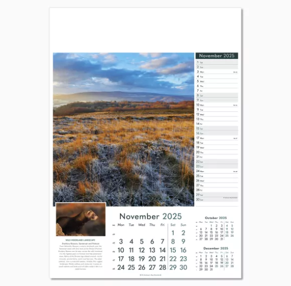 110515-wonders-of-nature-wall-calendar-november.png