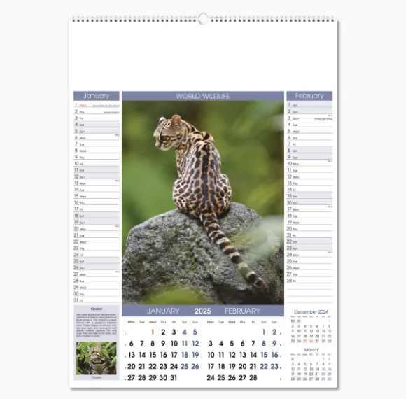 110815-world-wildlife-wall-calendar-jan-feb.png