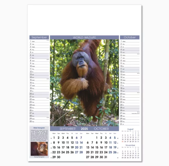 110815-world-wildlife-wall-calendar-sep-oct.png