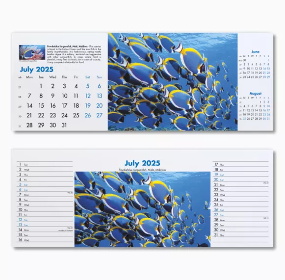 200115-blue-planet-desk-calendar-july.png