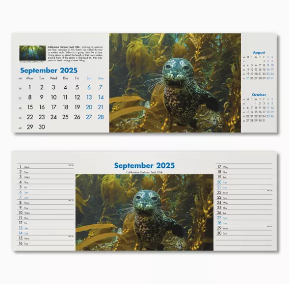 200115-blue-planet-desk-calendar-september.png