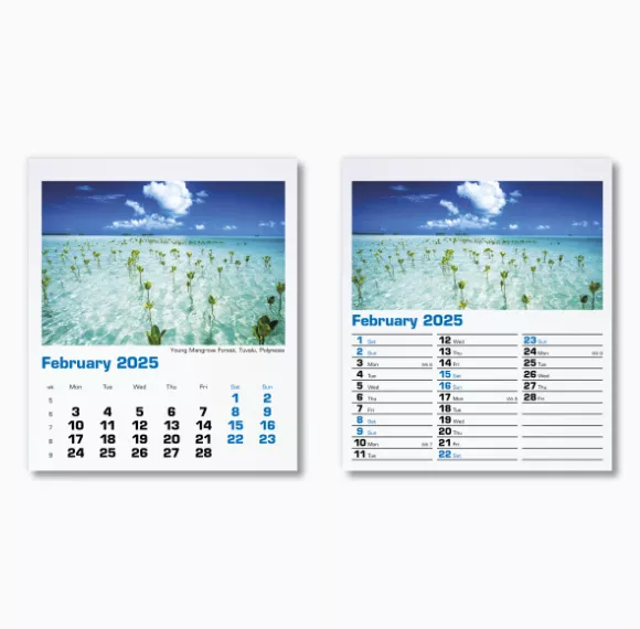 300015-blue-planet-mini-desk-calendar-february.png