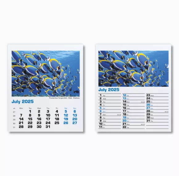 300015-blue-planet-mini-desk-calendar-july.png