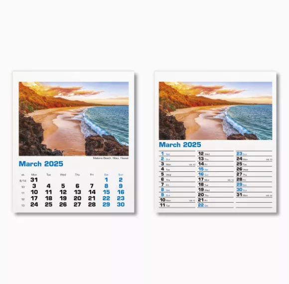 300015-blue-planet-mini-desk-calendar-march.png