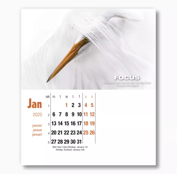 400015-inspirations-cd-calendar-january.png