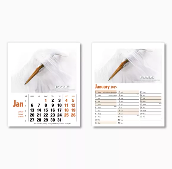 405115-inspirations-mini-desk-calendar-january.png