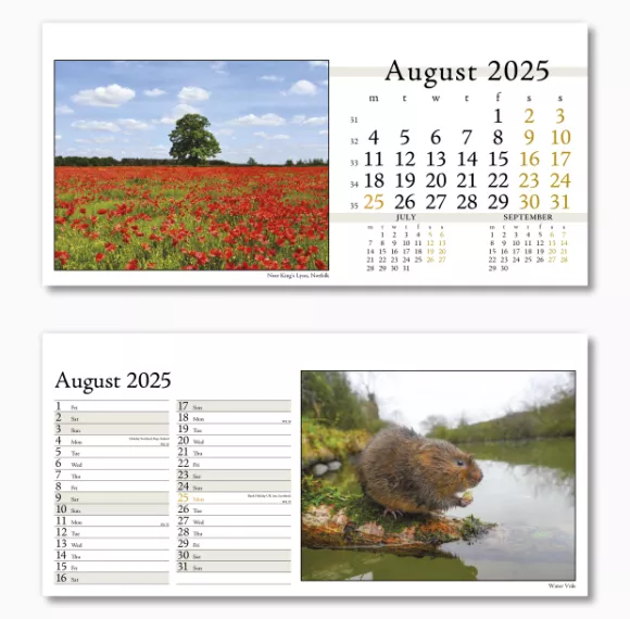 804715-photo-life-desk-calendar-august.png