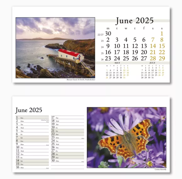 804715-photo-life-desk-calendar-june.png