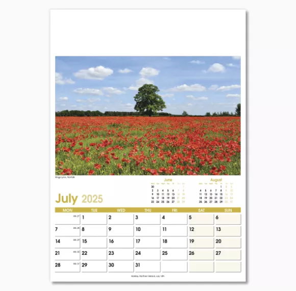 NWO021-aspects-optima-wall-calendar-july.png