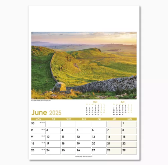 NWO021-aspects-optima-wall-calendar-june.png