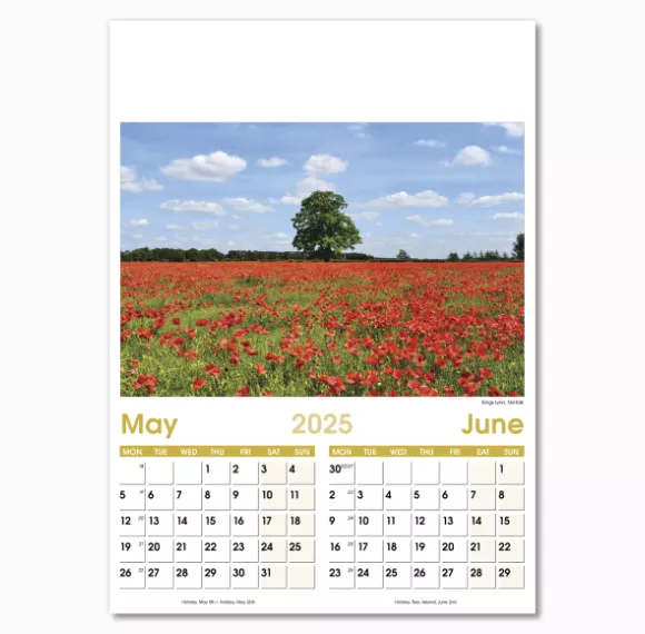 NWO024-7-leaf-aspects-optima-wall-calendar-may-jun.png