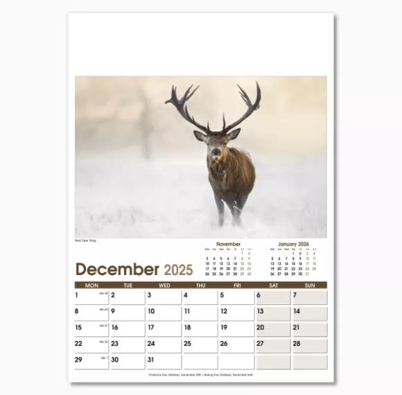 NWO053-rural-life-optima-wall-calendar-december.png