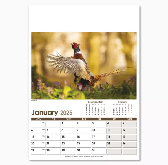 NWO053-rural-life-optima-wall-calendar-january.png