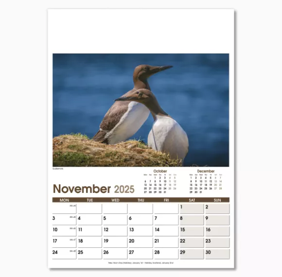 NWO053-rural-life-optima-wall-calendar-november.png