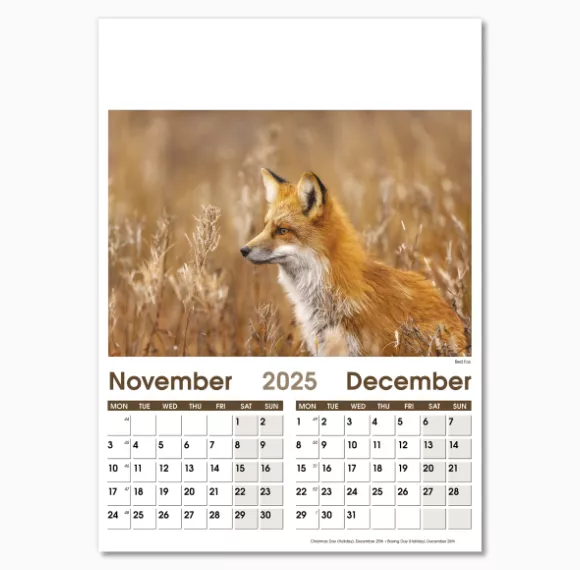 NWO057-7-leaf-rural-life-optima-wall-calendar-nov-dec.png