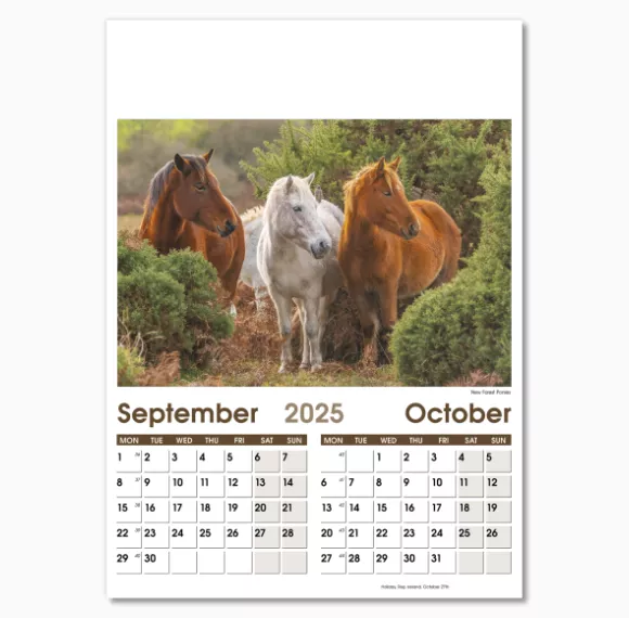 NWO057-7-leaf-rural-life-optima-wall-calendar-sep-oct.png