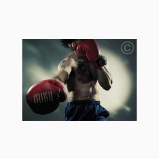 19 Boxer Boxing