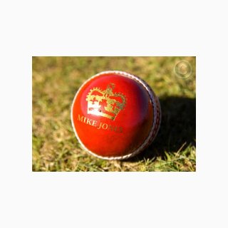 30 Cricket Ball Signature