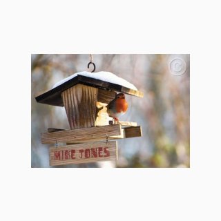 52 Garden Bird House in Winter